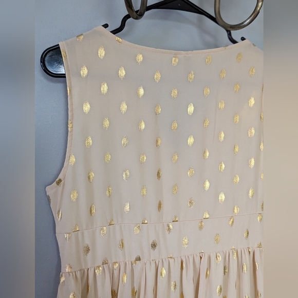 Charlie Charlie Charlotte Apricot Lace Sleeveless Empire Waist Maxi Dress - Picture 7 of 13